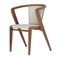 Modern Chair